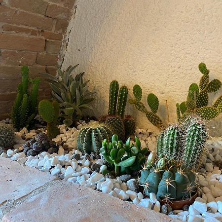 Cactus Suite Pisa Dış mekan fotoğraf