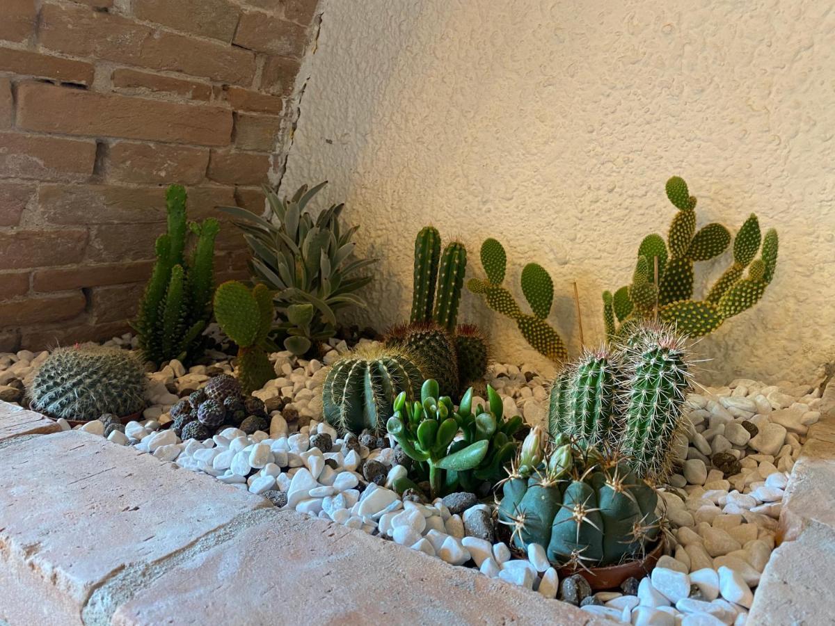 Cactus Suite Pisa Dış mekan fotoğraf